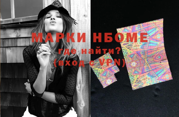 ГАЛЛЮЦИНОГЕННЫЕ ГРИБЫ Тайга