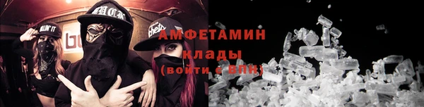 ГАЛЛЮЦИНОГЕННЫЕ ГРИБЫ Тайга