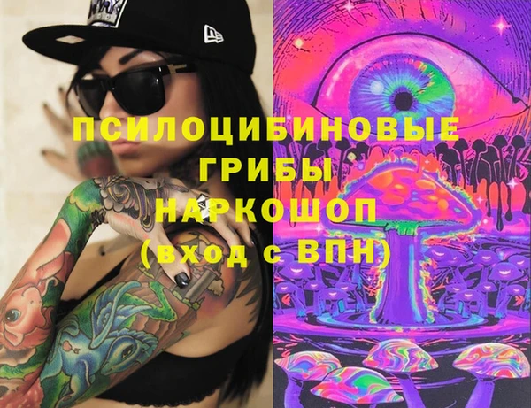 ГАЛЛЮЦИНОГЕННЫЕ ГРИБЫ Тайга