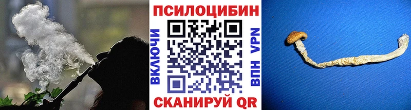 Галлюциногенные грибы Psilocybine cubensis  Купить  Среднеколымск 